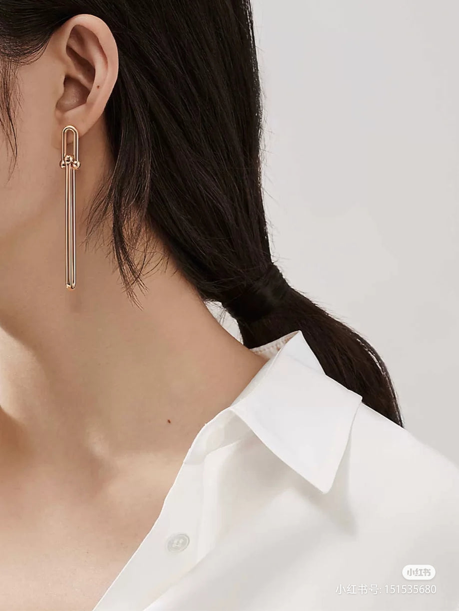 [Corinne]HARDWEAR DOUBLE LONG LINK EARRINGS