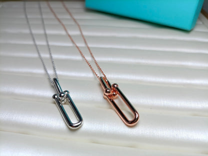 [Corinne]HARDWEAR DROP DOUBLE LINK PEDANT NECKLACE
