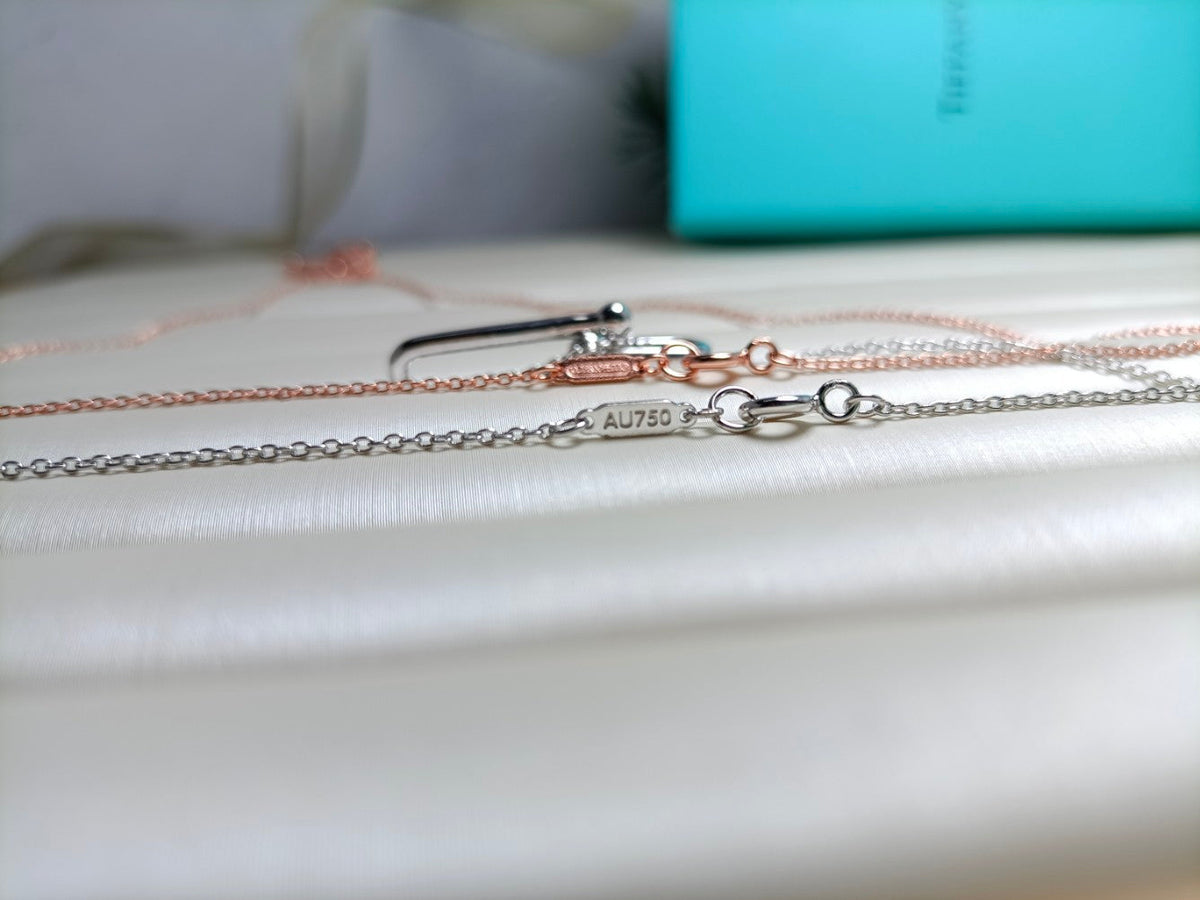 [Corinne]HARDWEAR DROP DOUBLE LINK PEDANT NECKLACE