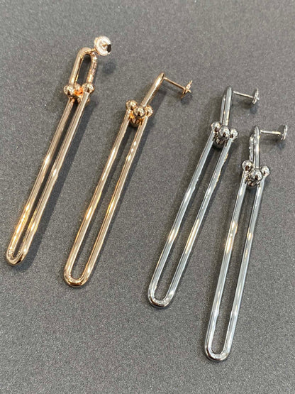 [Corinne]HARDWEAR DOUBLE LONG LINK EARRINGS