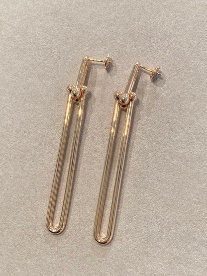 [Corinne]HARDWEAR DOUBLE LONG LINK EARRINGS