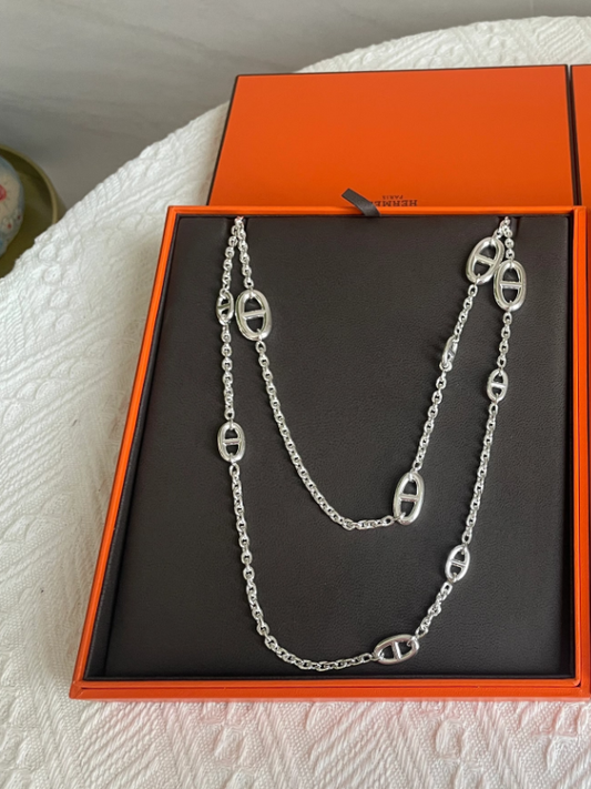 [⭐Corinne]Classic Silver Sweater Chain
