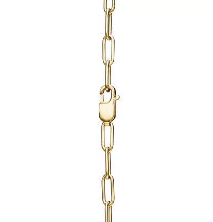[Corinne]LOCK NECKLACE GOLD