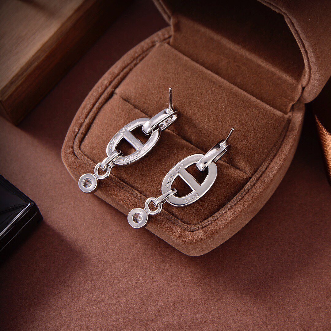 [⭐Corinne]HM CHAINE DIAMOND EARRINGS
